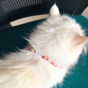 Pulsera y collar - Cat & Human